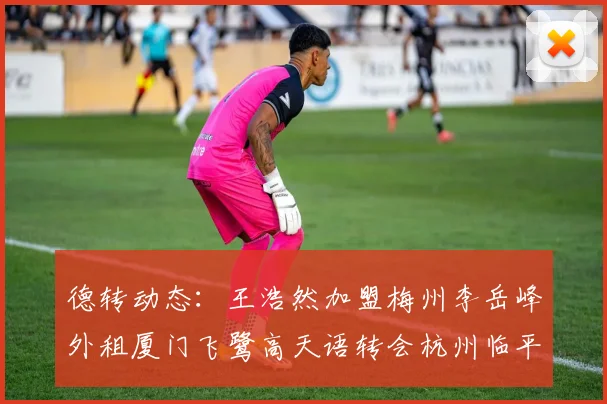 德转动态：王浩然加盟梅州李岳峰外租厦门飞鹭高天语转会杭州临平吴越