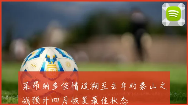 莱昂纳多伤情追溯至去年对泰山之战预计四月恢复最佳状态