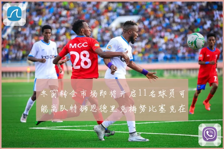 冬窗转会市场即将开启11名球员可能离队特狮恩德里克梅努比塞克在列