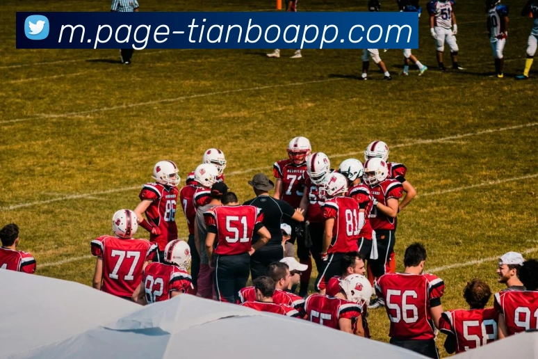 App Interface Preview