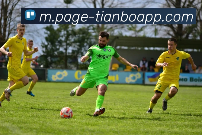 天博体育APP 封面图